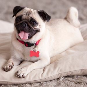 Meet your Posher, Nelly